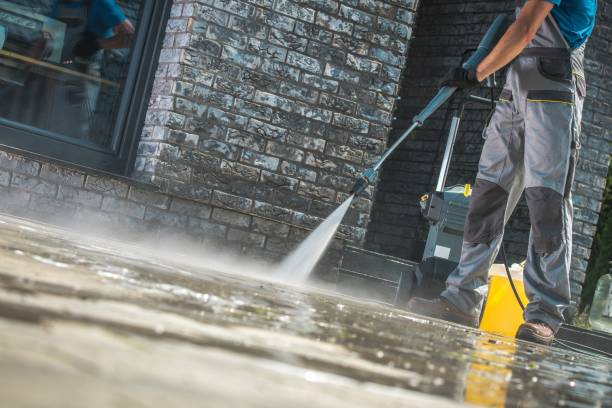 Best Driveway Pressure Washing  in Holly Lake Ranch, TX