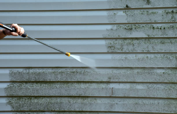 Trusted Holly Lake Ranch, TX Pressure Washing Services Experts